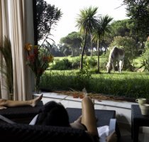Horse Country Resort Congress & SPA Arborea